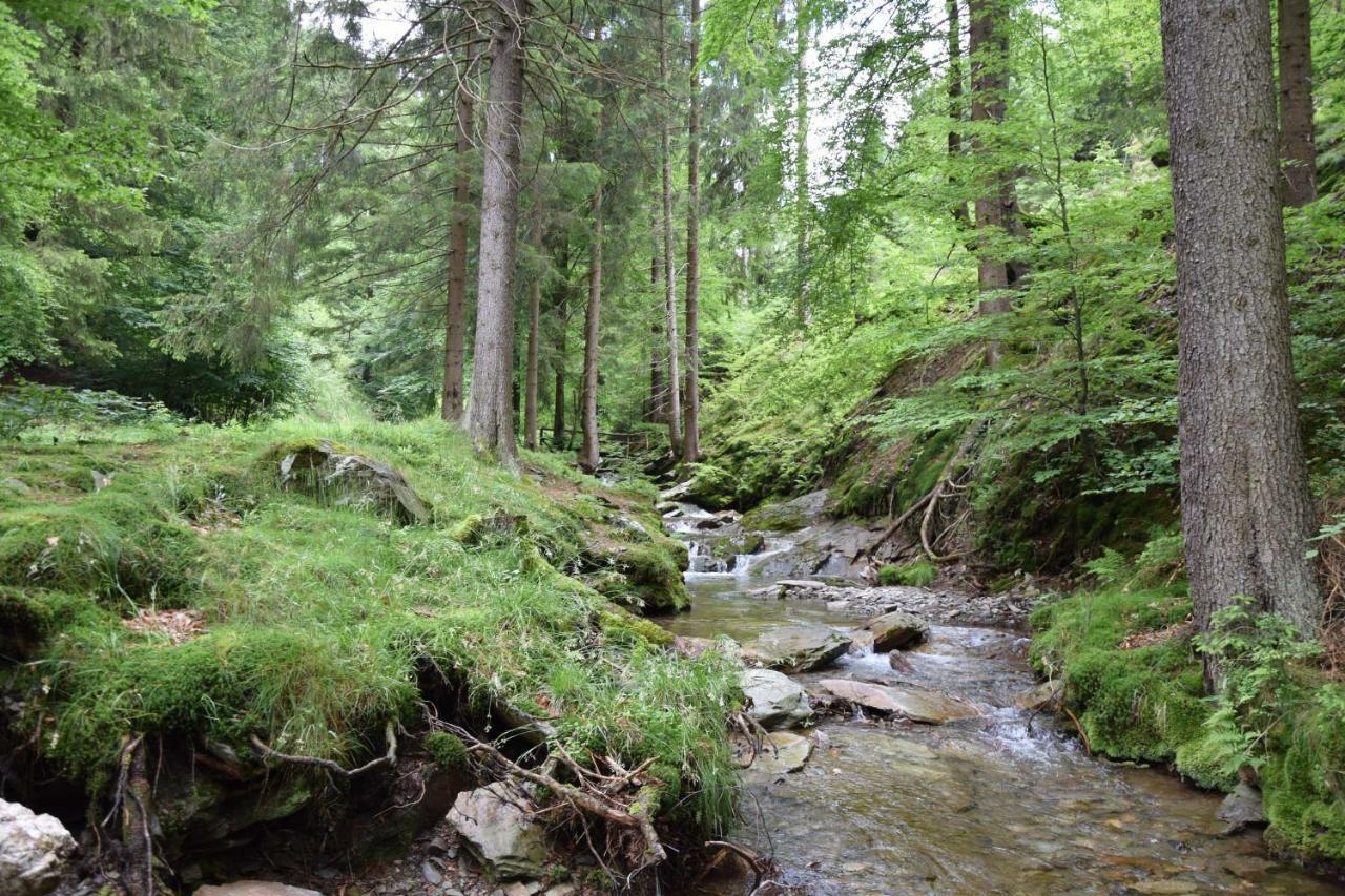 Marschalls Hotel Am Rennsteig 노이하우스암렌웨그 외부 사진